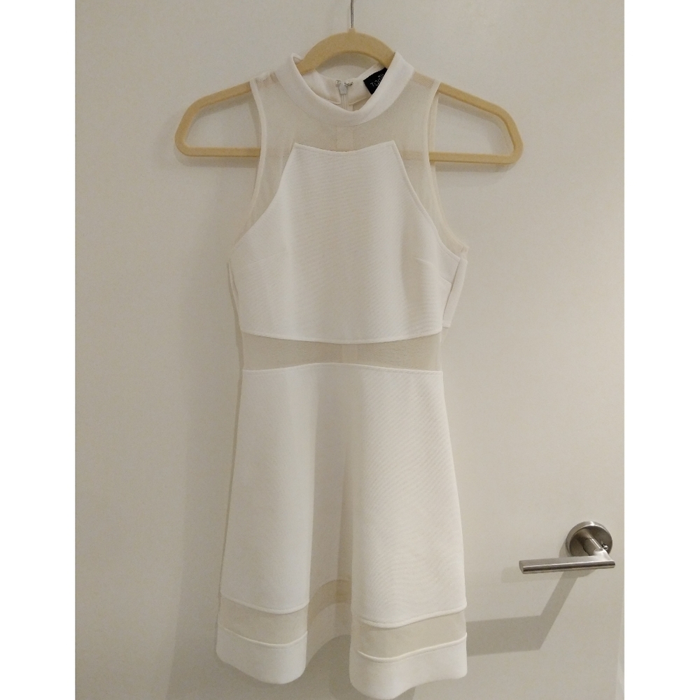 Topshop White Mesh Skater Dress